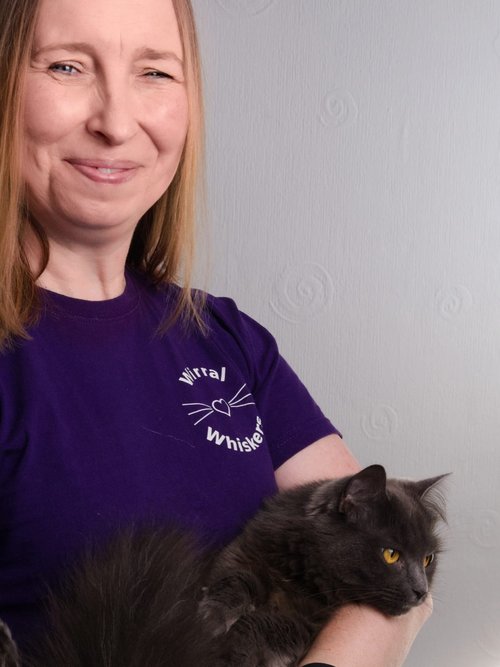 Livi, Wirral Whiskers Cat Sitter